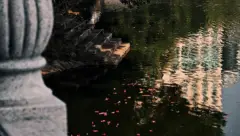 手机瞎拍