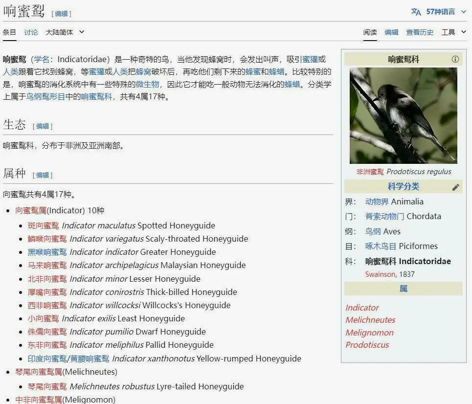 响蜜䴕（学名：Indicatoridae）是一种奇特的鸟，当他发现蜂窝时，会发出叫声，吸引蜜獾或人类跟着它找到蜂窝，等蜜獾或人类把蜂窝破坏后，再吃他们剩下来的蜂蜜和蜂蜡。
