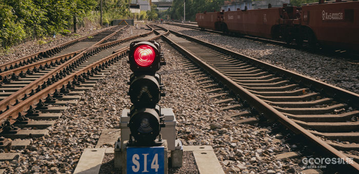 摄影分享丨这一年 摄影分享丨这一年