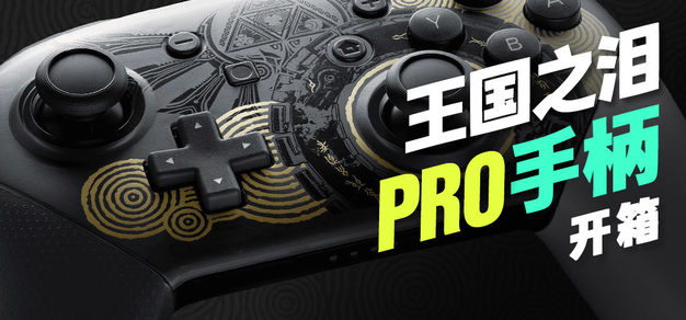 “Switch Pro