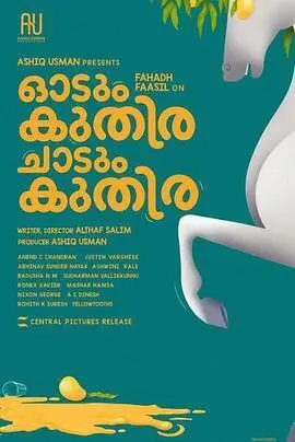 一匹马奔跑，一匹马跳跃