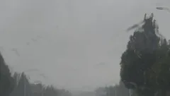 读一点书