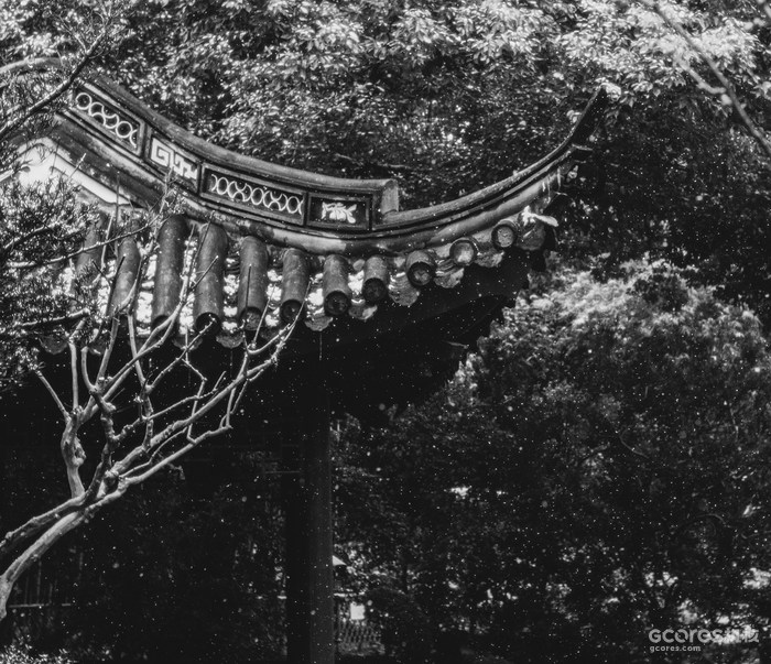 摄影分享丨这一年 摄影分享丨这一年