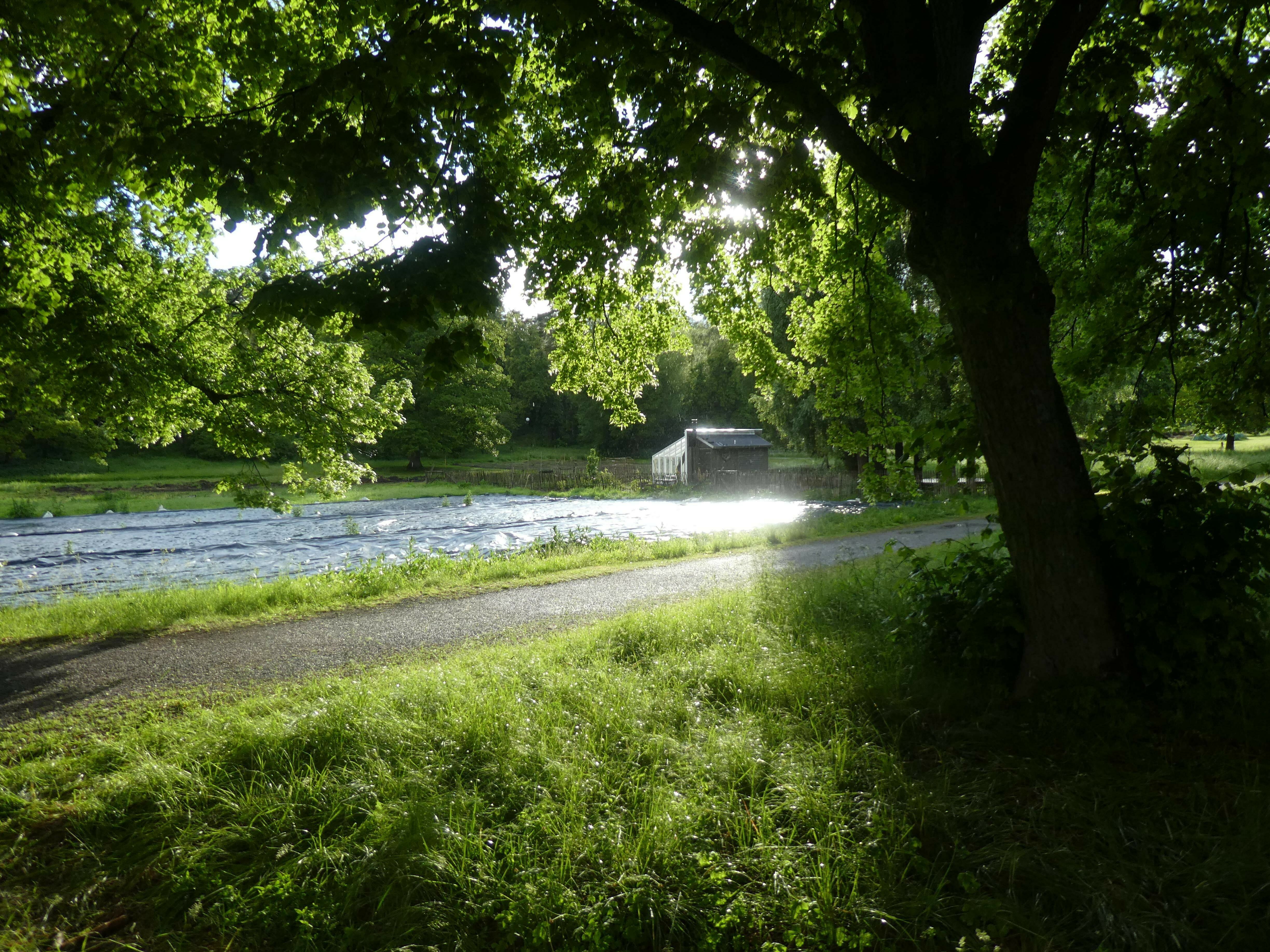 植被茂密的动物公园岛（Djurgården）和罗森达尔城堡（Rosendal Castle）附近有座棚屋。其实斯德哥尔摩有许多公园，这座城市因此更具魅力，在许多地区都能看到古老的建筑