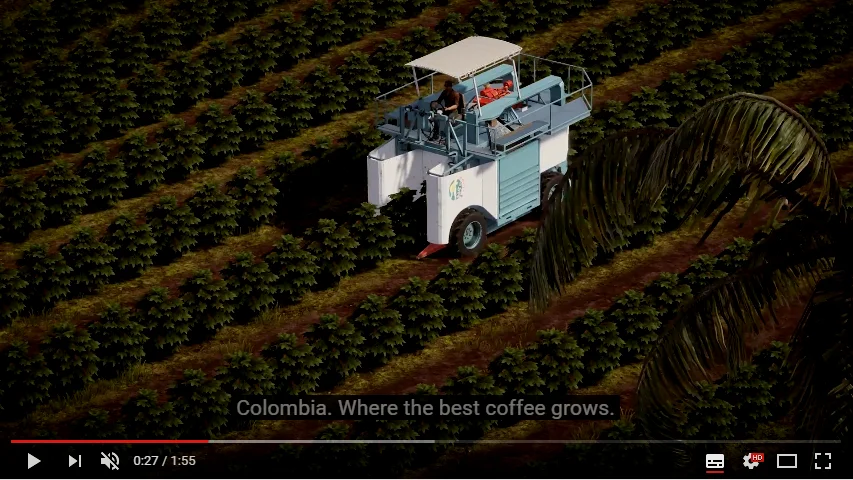 在哥伦比亚种咖啡豆