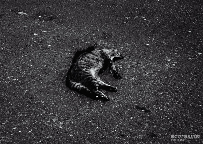 摄影分享丨这一年 摄影分享丨这一年