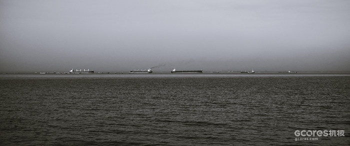 摄影分享丨这一年 摄影分享丨这一年