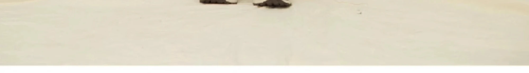 介绍图片
