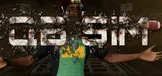 QB Sim
