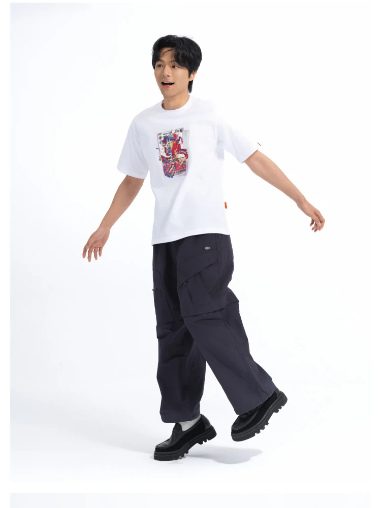介绍图片