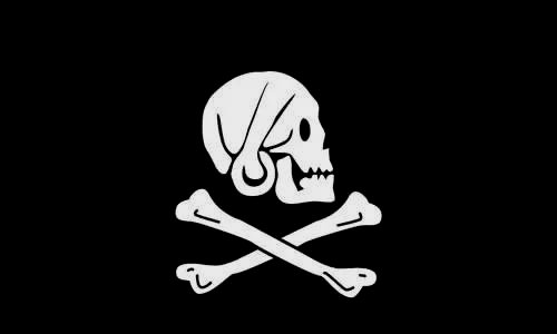 亨利·埃弗里使用的海盗旗样式