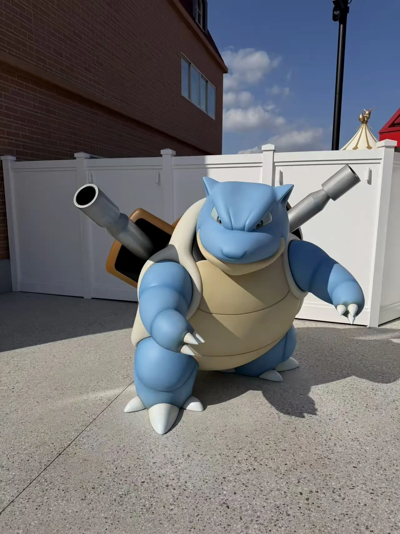 水箭龟：我是来加入这个家的