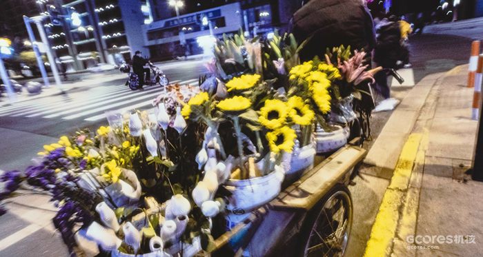 摄影分享丨这一年 摄影分享丨这一年