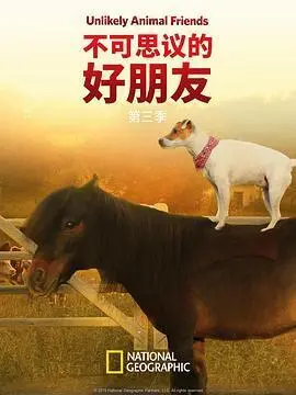 不可思议的好朋友第三季