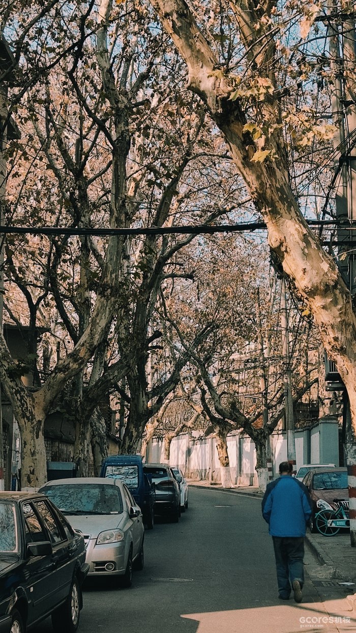 摄影分享丨走走停停 摄影分享丨走走停停