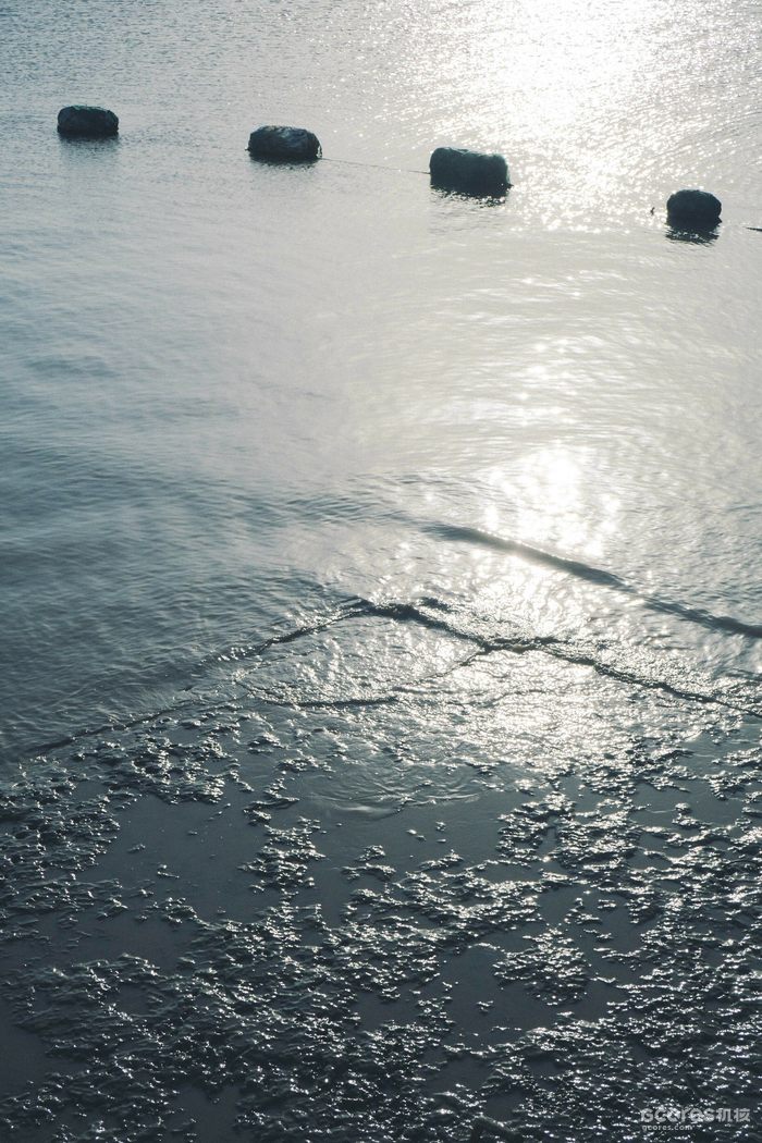 摄影分享丨这一年 摄影分享丨这一年