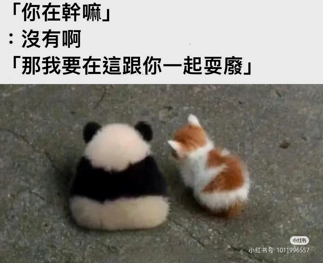 大家周三好,又到了每日meme时间 周三了啊. ENJOY | 机组 | 机核 GCORES