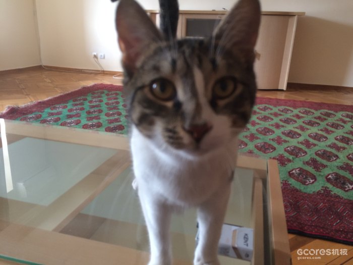 摄影分享丨巴库 摄影分享丨巴库