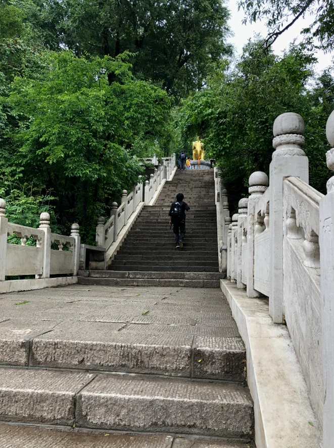 顶着气喘爬了上去结果发现只是个竣工纪念品，还以为是特珍贵的古代纯金大象呢！