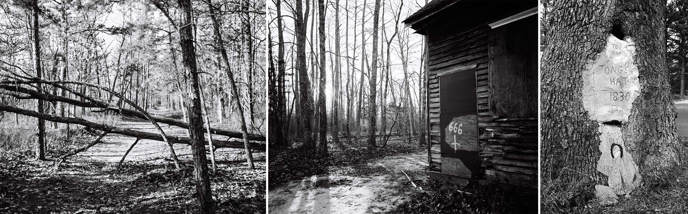 新澤西州貧瘠松林中的翁斯哈特鬼城，以及昂格帽子的傳說之樹/圖：Jed Oelbaum