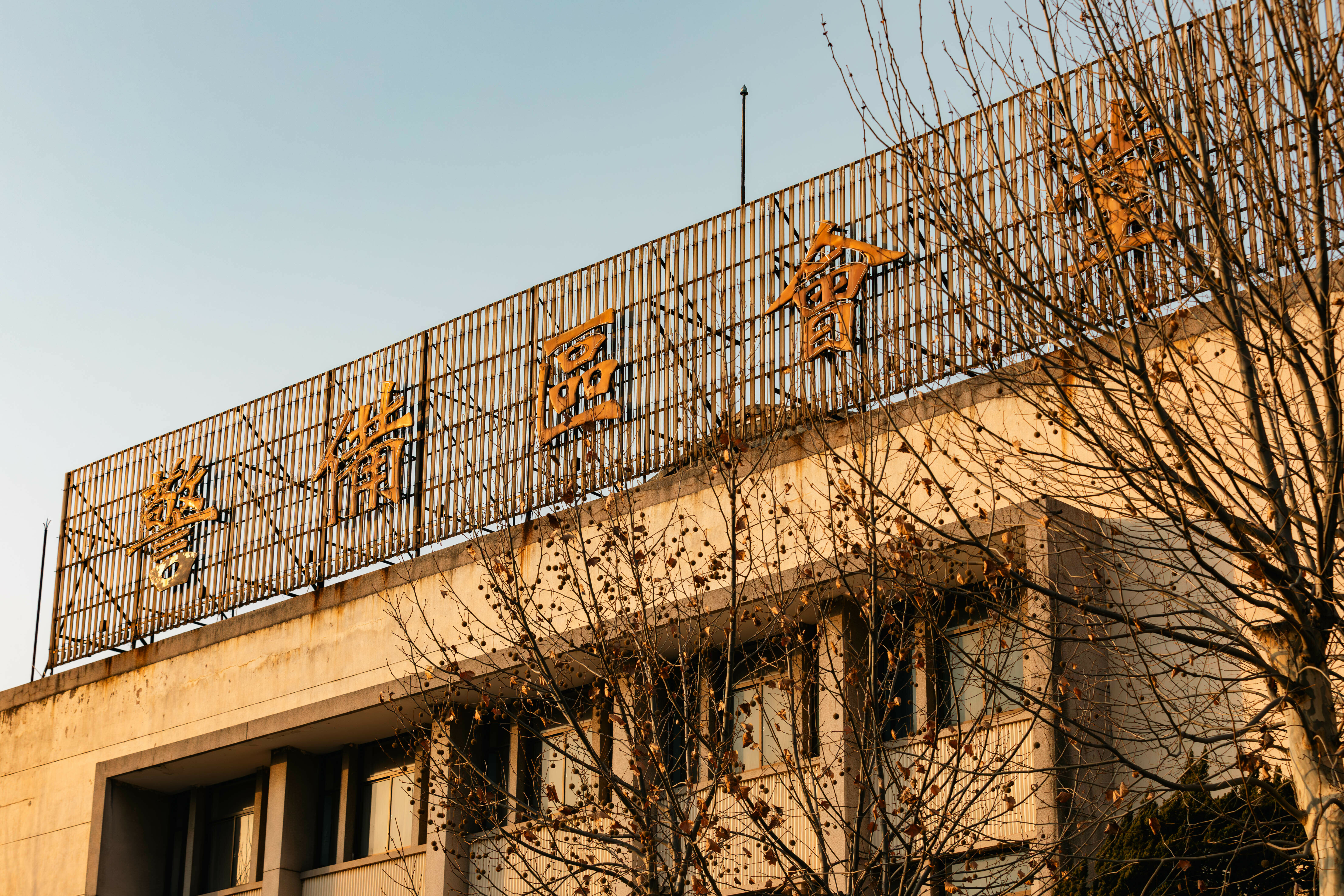 小学六一儿童节庆祝大会的礼堂，已经变成快递室了哈哈哈