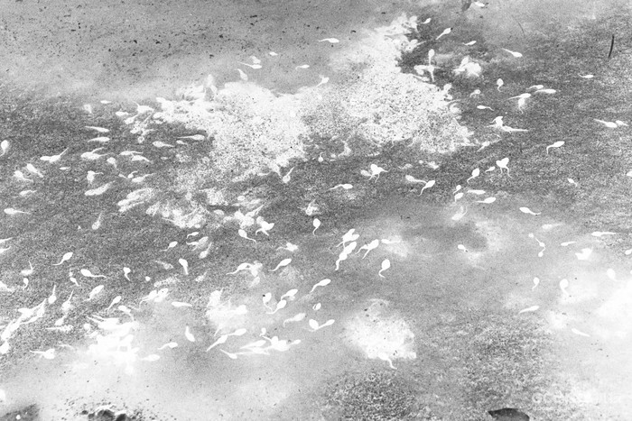 摄影分享丨这一年 摄影分享丨这一年