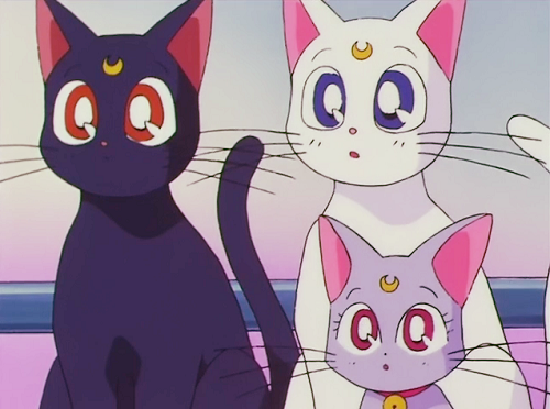 《美少女戰士》中的黑貓露娜（左）、白貓亞提密斯（右上）以及他們的孩子戴安娜（右下）