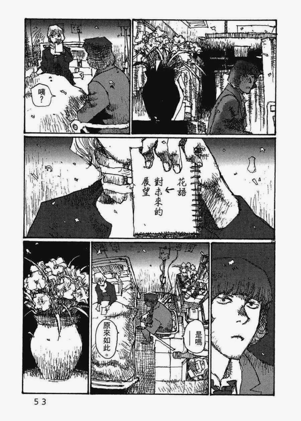 小苍兰→对未来的展望