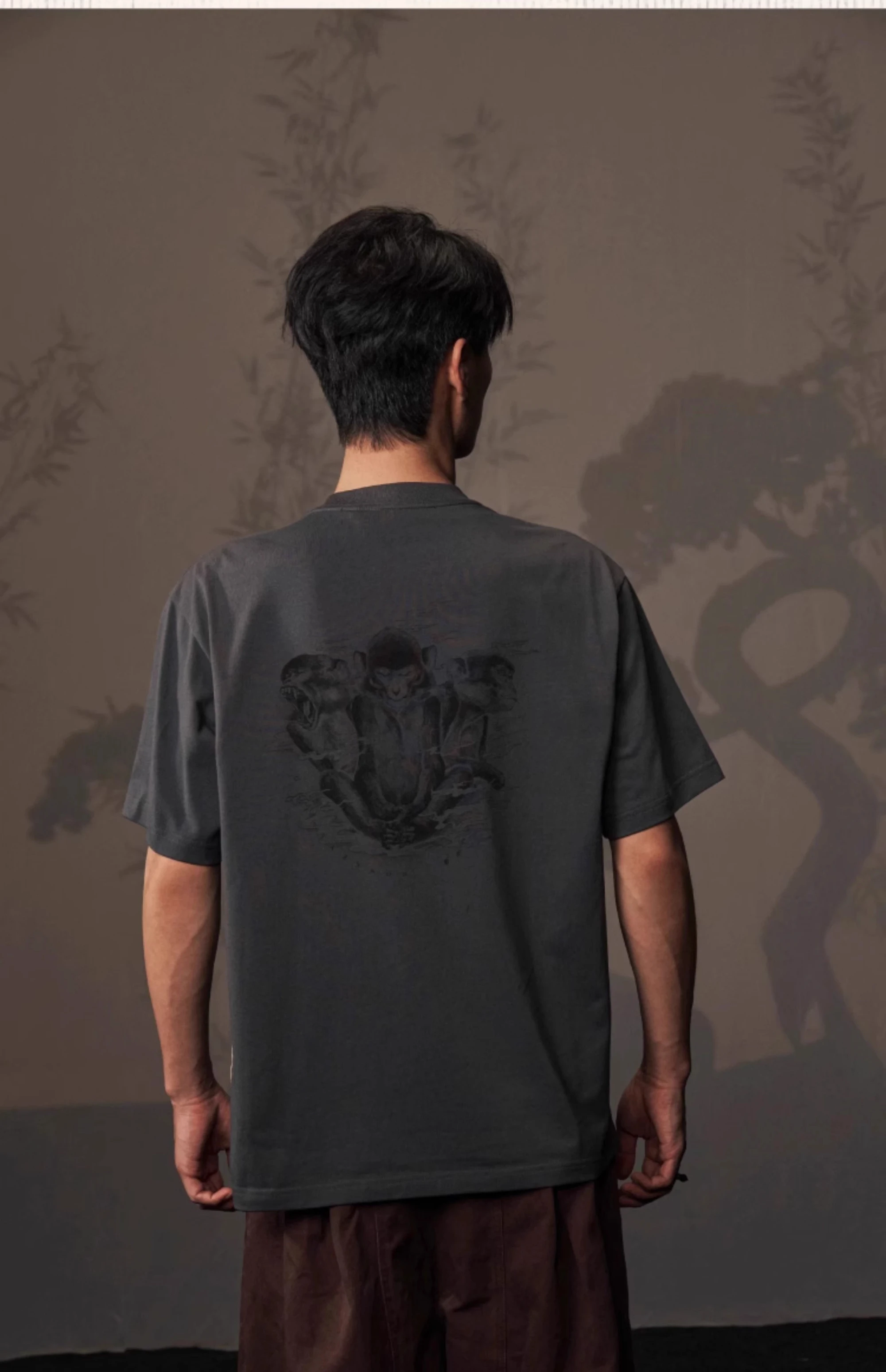 介绍图片