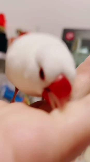 咬一口看看这是啥