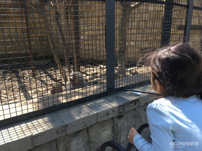 摄影分享丨巴库 摄影分享丨巴库