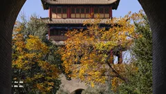一些照片