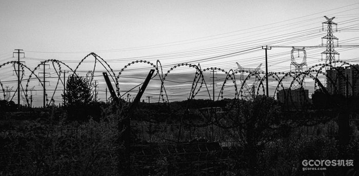 摄影分享丨这一年 摄影分享丨这一年