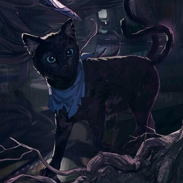 瑕光時裝“巫異盛宴/II：異月災裔”背景中的黑貓——克里斯汀娜小姐