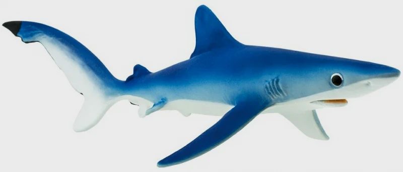 蒙特雷水族馆的蓝鲨在1995年11月引入，是一条雌鲨，1996年2月14日因为撞伤了喉咙，被执行安乐死，这是她的玩偶（因为她没有留下照片）