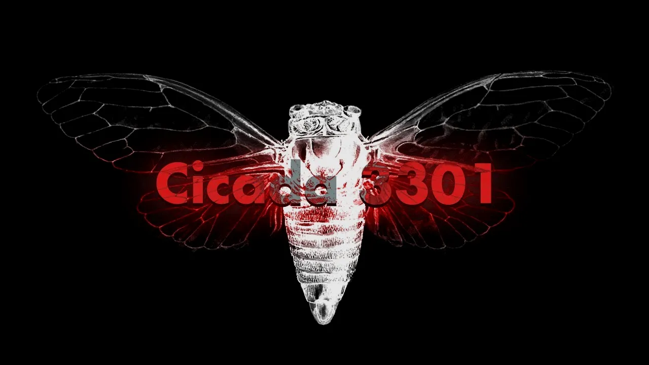 神秘的 ARG Cicada 3301