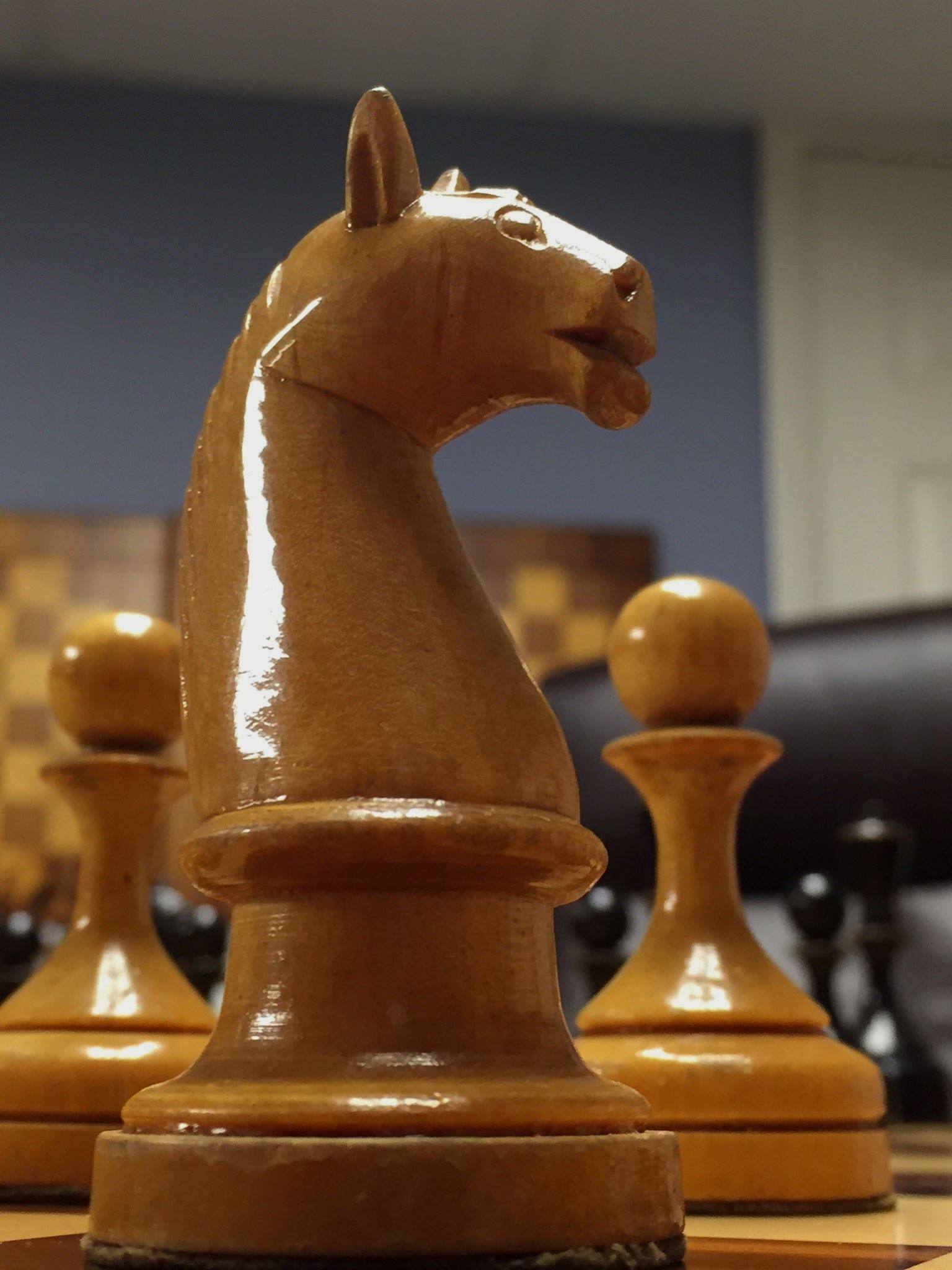 Ботвинник-Флор II的马，请记住这个形状。马是这套棋的特征之一，有人管它叫天鹅颈。芭蕾跳到棋盘上了。