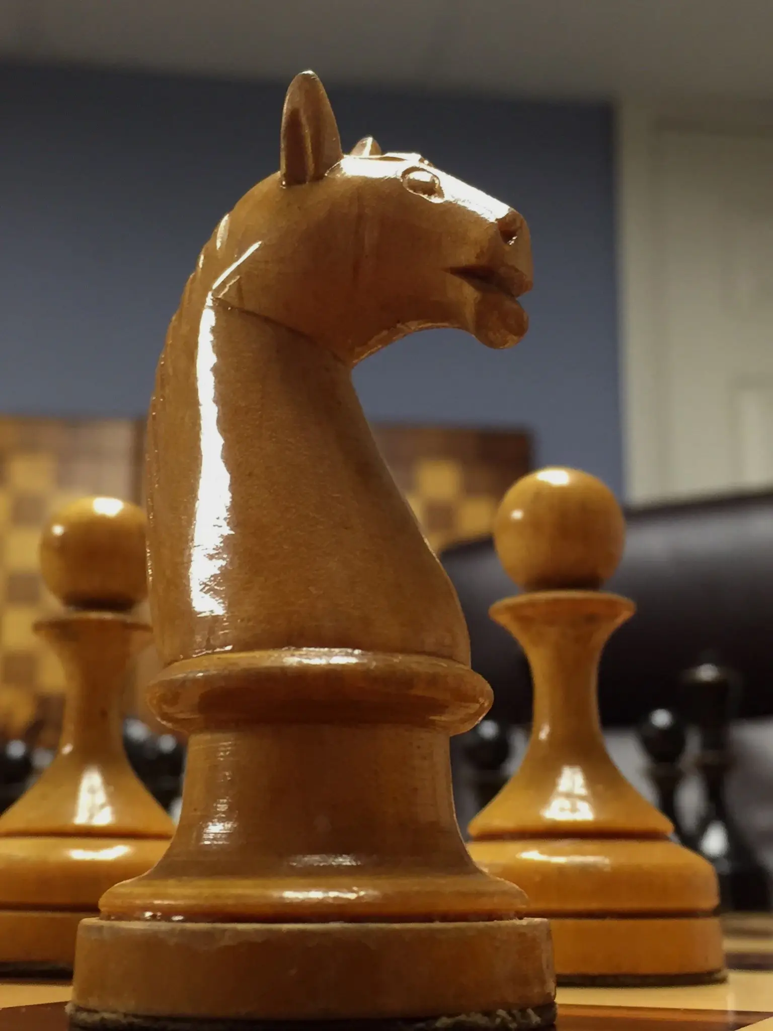 Ботвинник-Флор II的马，请记住这个形状。马是这套棋的特征之一，有人管它叫天鹅颈。芭蕾跳到棋盘上了。