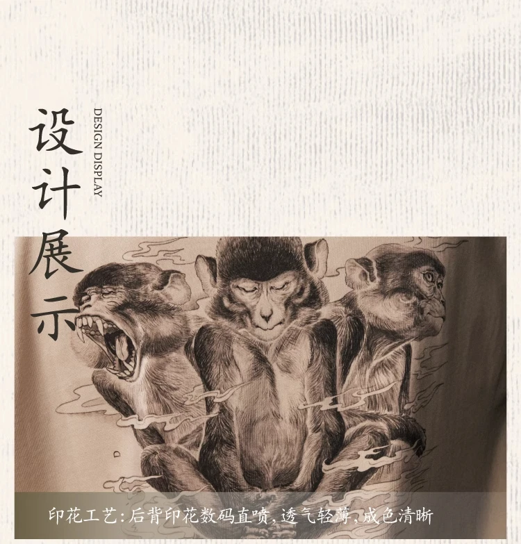 介绍图片