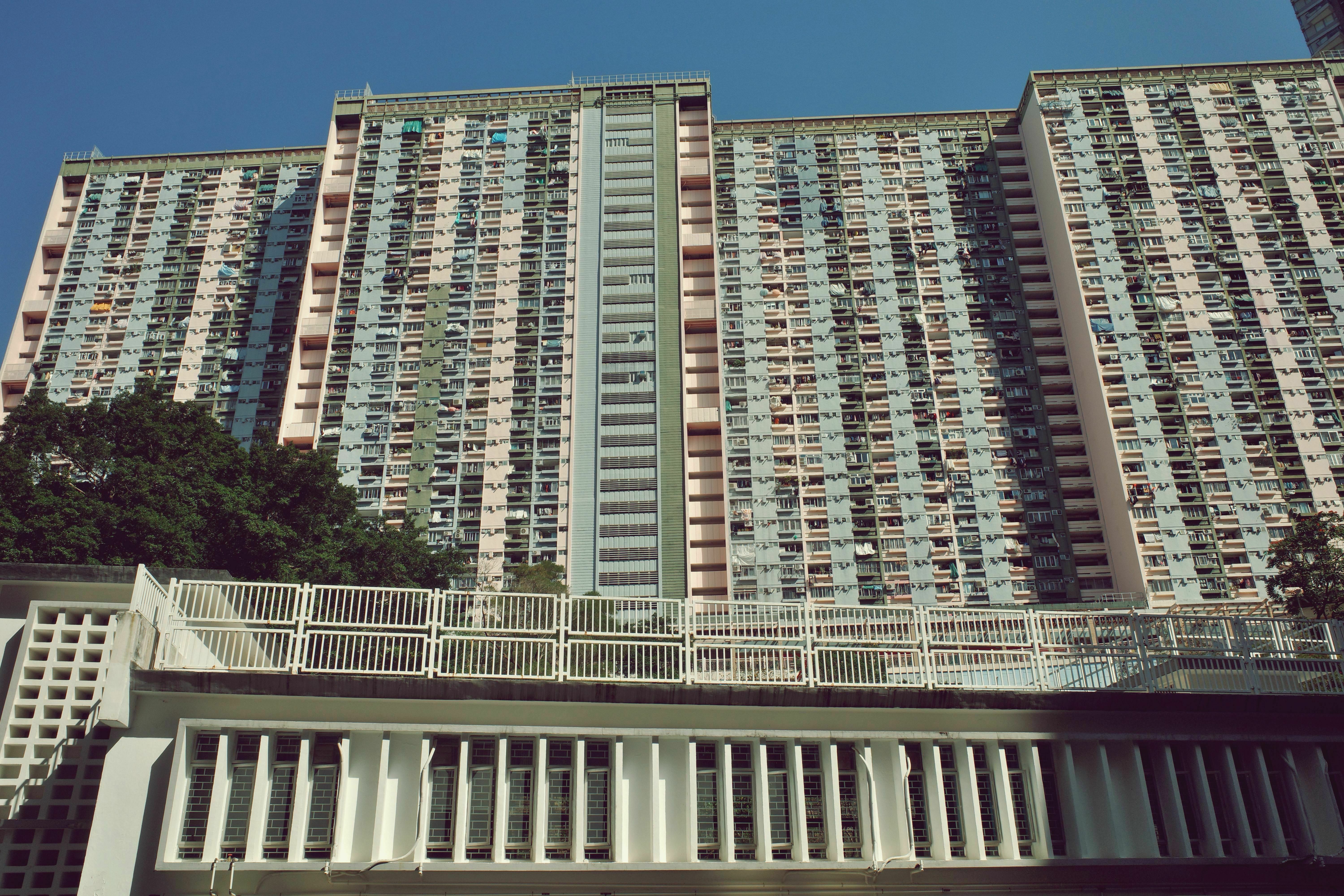 从楼梯下仰视等下要去的励德邨，高耸的住宅楼拔地而起，直冲云霄，层层叠叠的窗户和阳台仿佛没有尽头，给人一种震撼的压迫感，又带着几分秩序的美感。青绿和淡粉的外墙在阳光下显得干净而明亮，整齐划一的布局中透出一股功能性的简洁。