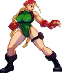 Cammy