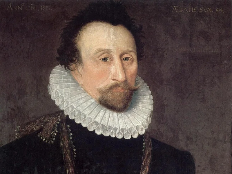 Portrait of Admiral Sir John Hawkins, 1581 (局部)