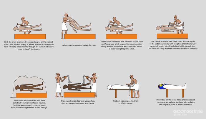 ▲图:木乃伊化过程图示