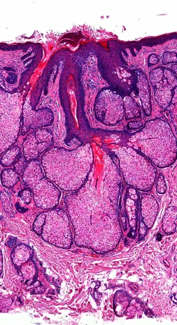 《海马回修所》创作日志 02:形状与情绪表达 《海马回修所》创作日志 02:形状与情绪表达