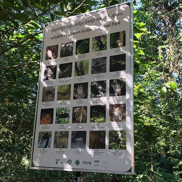森林里居住着各式各样的生物