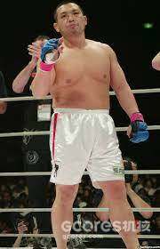 PRIDE FC 简史 pt.2 PRIDE FC 简史 pt.2