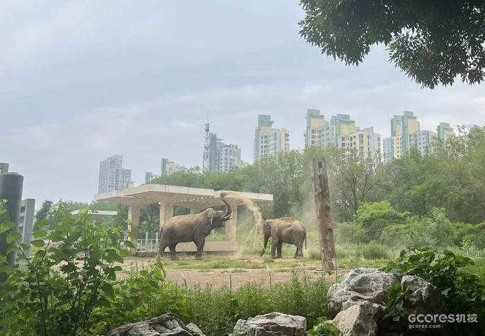 2024年五月摄于天津动物园。