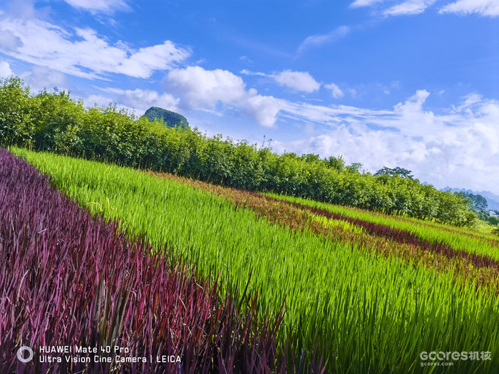 去阳朔玩的一些照片 去阳朔玩的一些照片