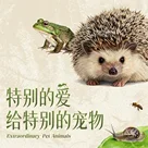 【重口预警】 异宠专题：不想养小狗小猫可以来试试本期节目里介绍的动物哦