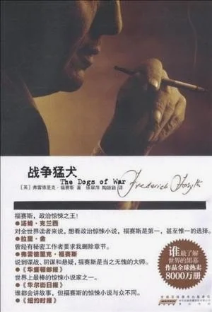 这本小说里实战场面不过十几页，前面全是前期物资准备，交通线贯通和火力侦察。好看极了